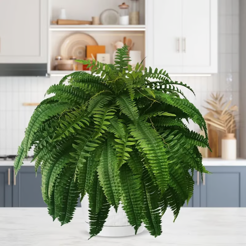 🌿UV Resistant Lifelike Artificial Boston Fern