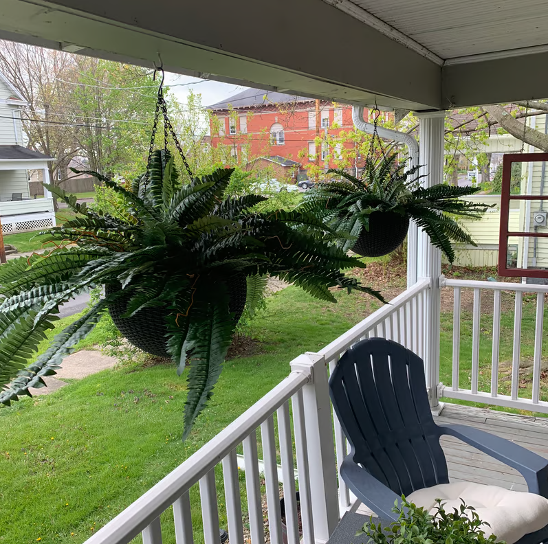 🌿UV Resistant Lifelike Artificial Boston Fern