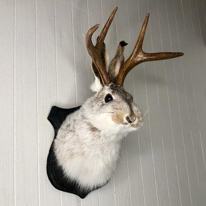Jackalope Wall Decor-Handmade decorative Arts