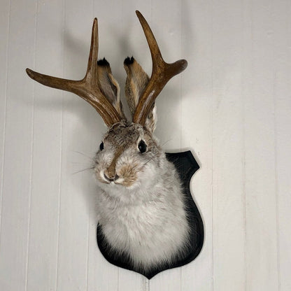 Jackalope Wall Decor-Handmade decorative Arts