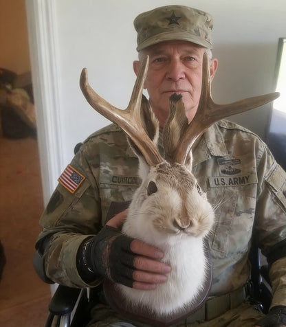 Jackalope Wall Decor-Handmade decorative Arts