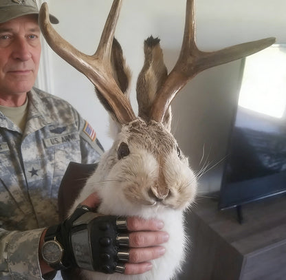 Jackalope Wall Decor-Handmade decorative Arts