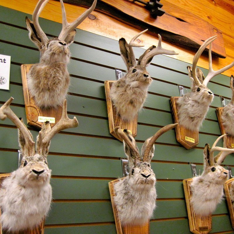 Jackalope Wall Decor-Handmade decorative Arts