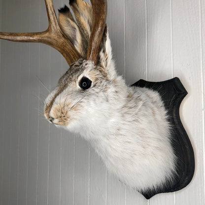Jackalope Wall Decor-Handmade decorative Arts