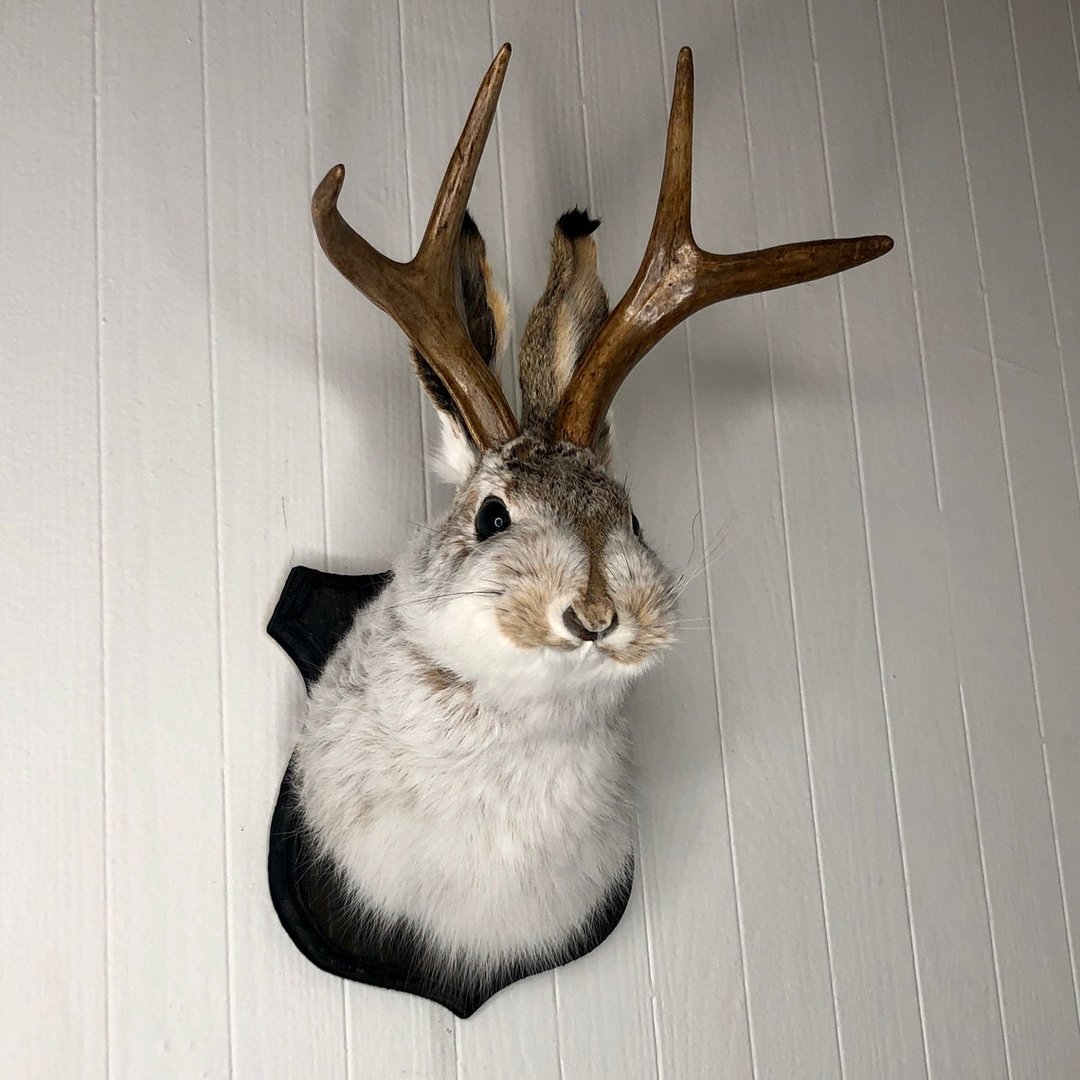Jackalope Wall Decor-Handmade decorative Arts