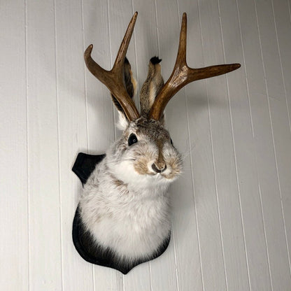Jackalope Wall Decor-Handmade decorative Arts