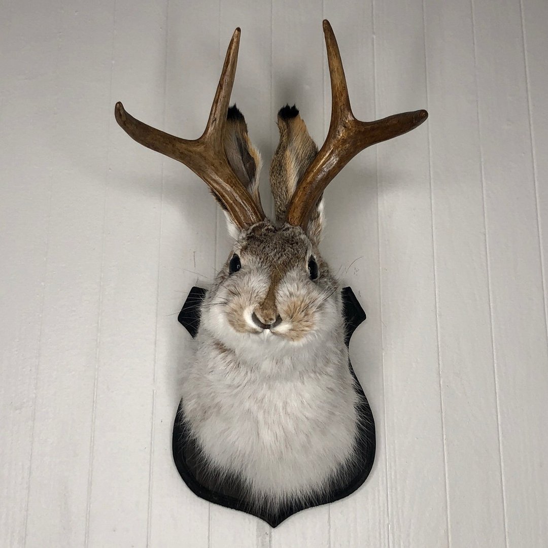 Jackalope Wall Decor-Handmade decorative Arts