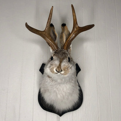 Jackalope Wall Decor-Handmade decorative Arts
