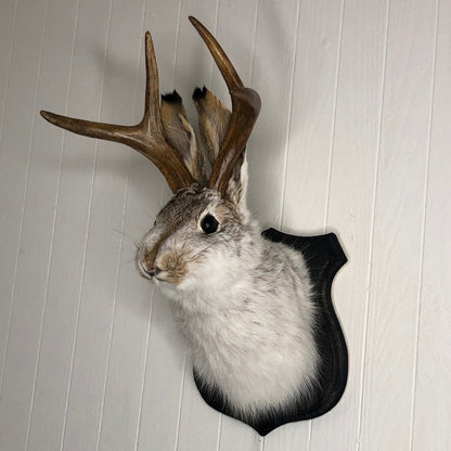 Jackalope Wall Decor-Handmade decorative Arts